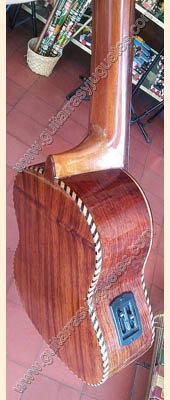 Charango de paloescrito electroacústico2